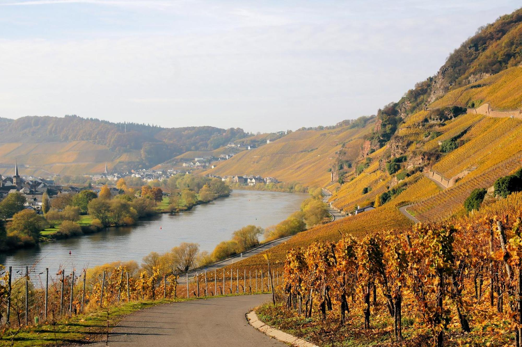 Weingut / Gaestehaus Gerlach Ürzig Extérieur photo