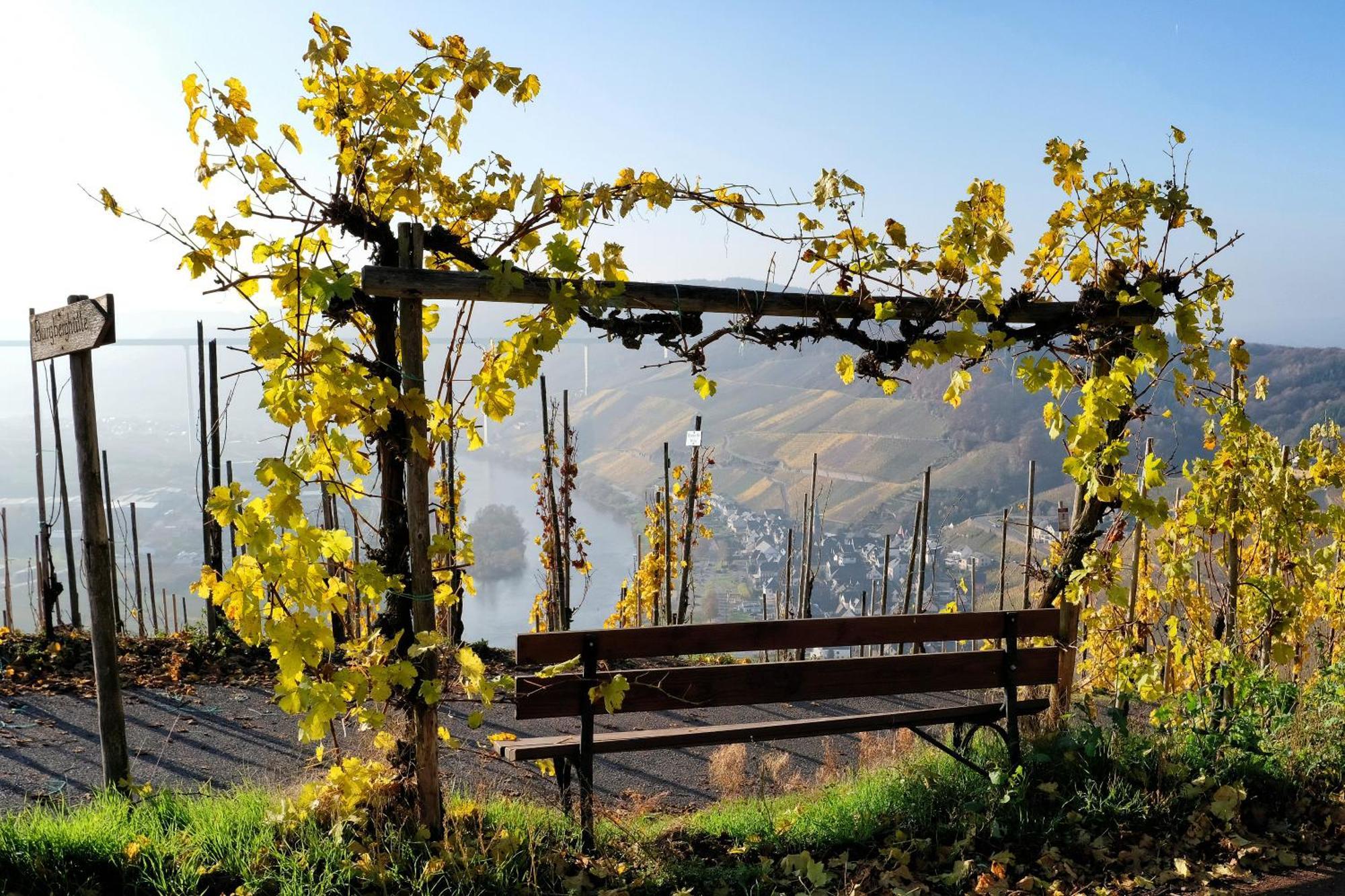 Weingut / Gaestehaus Gerlach Ürzig Extérieur photo