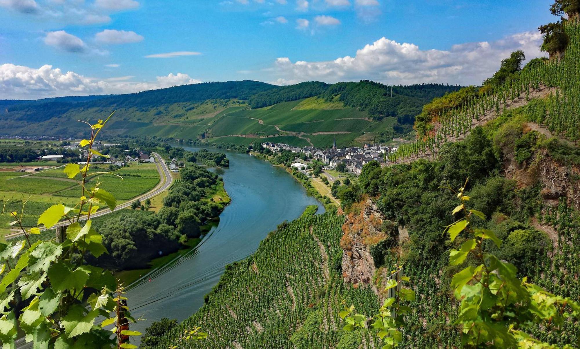 Weingut / Gaestehaus Gerlach Ürzig Extérieur photo