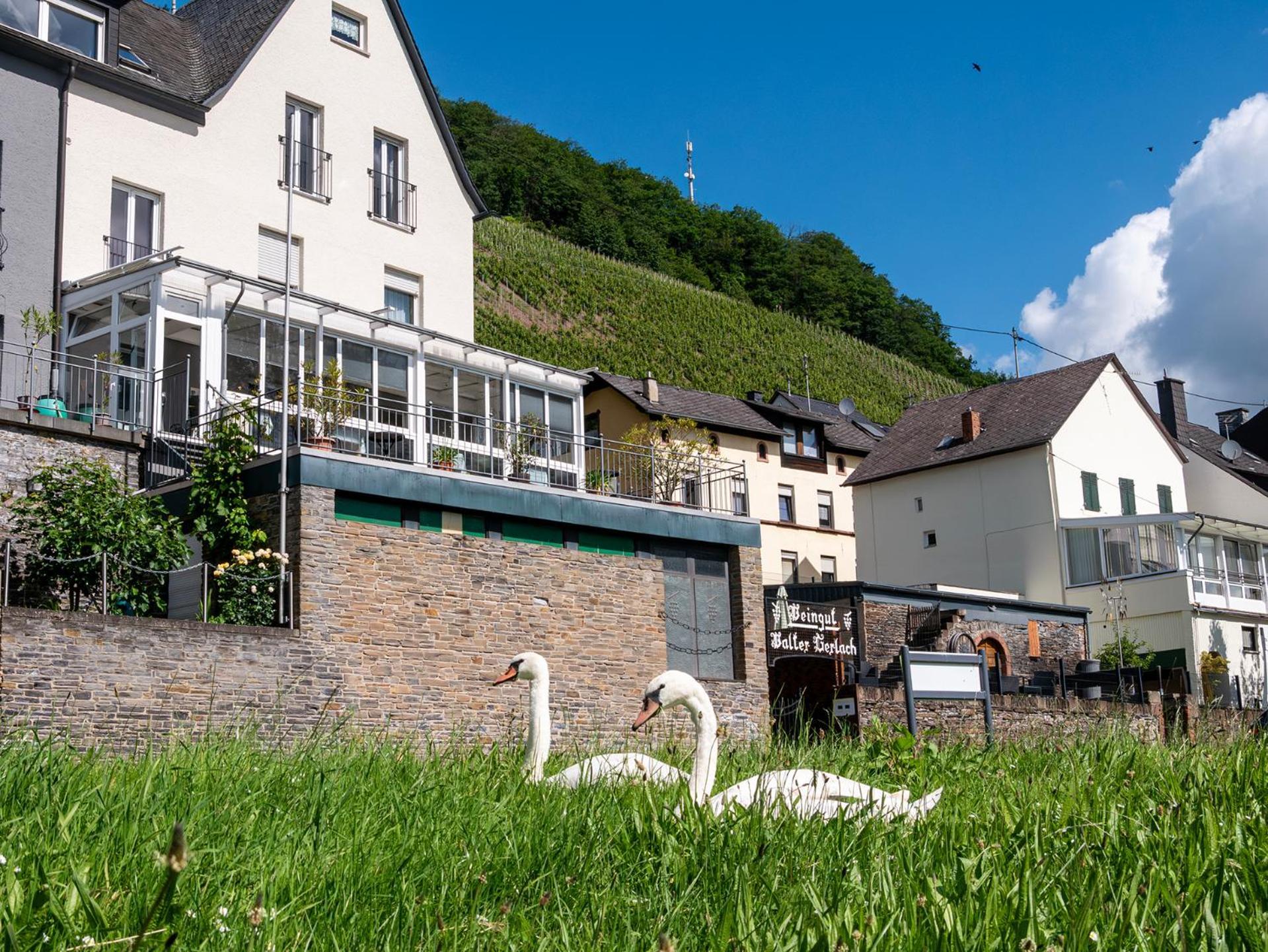 Weingut / Gaestehaus Gerlach Ürzig Extérieur photo