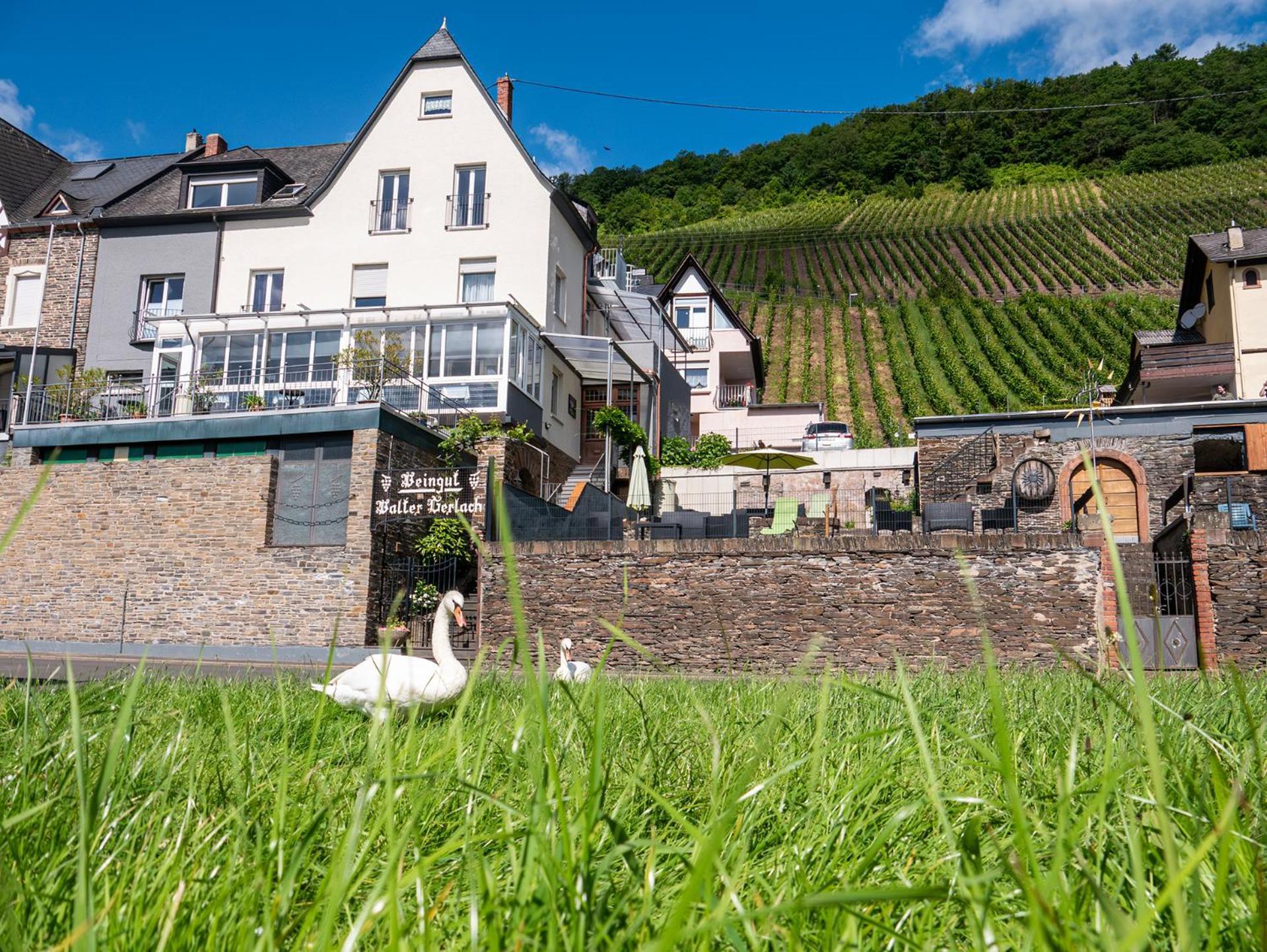 Weingut / Gaestehaus Gerlach Ürzig Extérieur photo